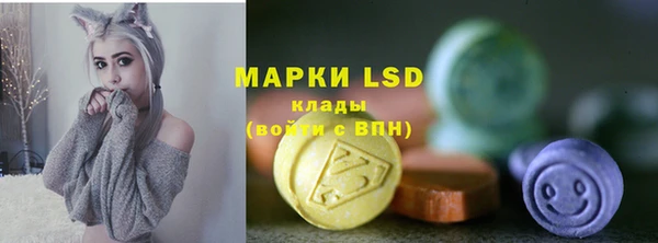 гидра Верея