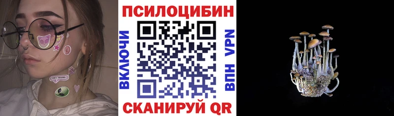 Псилоцибиновые грибы мицелий что такое наркотик Мостовской
